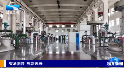 智涌荆楚 赋新未来 | “智”造湖北 “模”力绽放