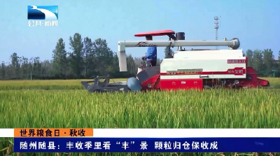 随州随县：丰收季里看“丰”景 颗粒归仓保“收”成
