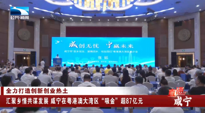 汇聚乡情共谋发展 咸宁在粤港澳大湾区“吸金”超87亿元