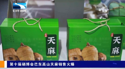 第十届硒博会巴东高山天麻销售火爆