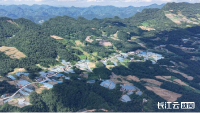 宜昌长阳：技术赋能 高山蔬菜“避雨延秋”促增收