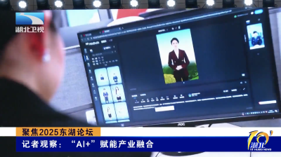聚焦2025东湖论坛｜记者观察：“AI+”赋能产业融合