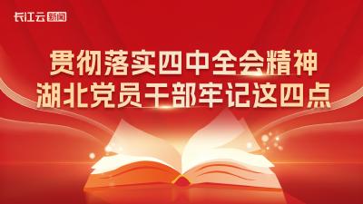贯彻落实四中全会精神，湖北党员干部牢记这四点！