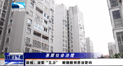 麻城：凝聚“五力”解锁睦邻善治密码