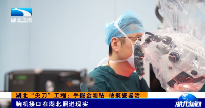 湖北“尖刀”工程：手握金刚钻 敢揽瓷器活 | 脑机接口在湖北照进现实