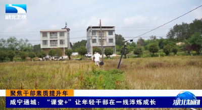 聚焦干部素质提升年 | 咸宁通城：“课堂+” 让年轻干部在一线淬炼成长