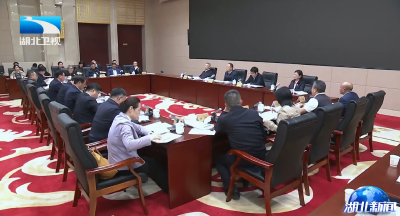 省旅游业发展领导小组会议在汉召开 孙伟主持并讲话