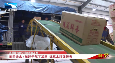 高质量党建引领高质量发展∣黄冈浠水：年轻干部下基层 淬炼本领强担当