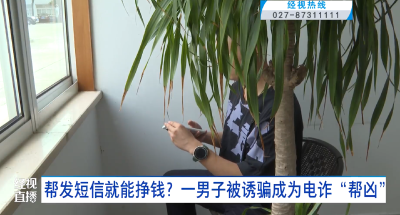 帮发短信就能挣钱？一男子被诱骗成为电诈“帮凶”