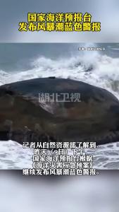 国家海洋预报台发布风暴潮蓝色警报