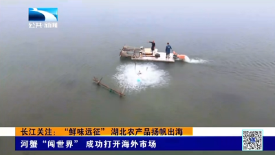 “鲜味河蟹“闯世界“ 成功打开海外市场