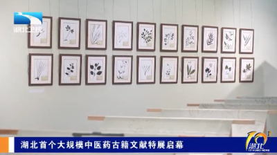 湖北首个大规模中医药古籍文献特展启幕