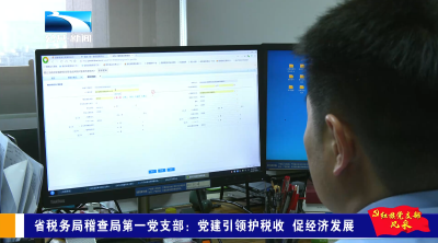 红旗党支部风采 | 省税务局稽查局第一党支部：党建引领护税收 促经济发展