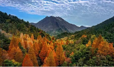随州大洪山：穿越最美赛道 邂逅秋日盛景