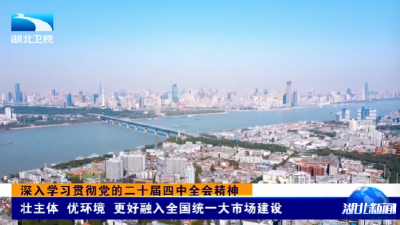 深入学习贯彻党的二十届四中全会精神 | 壮主体 优环境 更好融入全国统一大市场建设