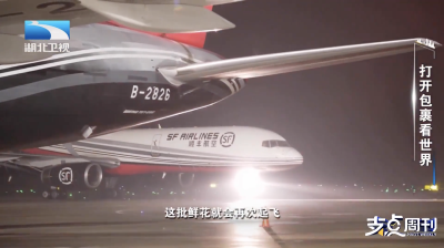 打开包裹看世界｜支点现场：快递盒里拆出“新沿海”