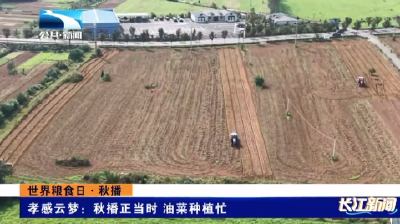 孝感云梦：秋播正当时 油菜种植忙