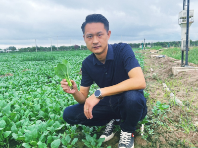 “菜二代”吴易翔：一颗“上海青”如何逆袭成“黄金菜”