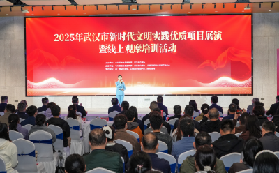 武汉市16个新时代文明实践优质项目获扶持推介