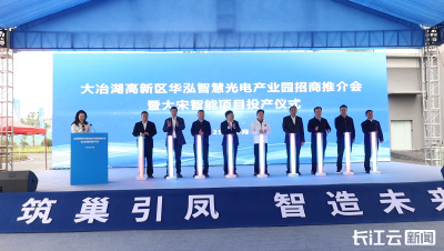 黄石大冶：持续擦亮“楚商回乡”金字招牌 