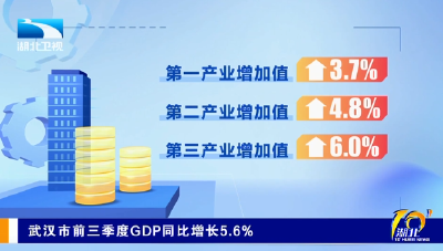 武汉市前三季度GDP同比增长5.6%