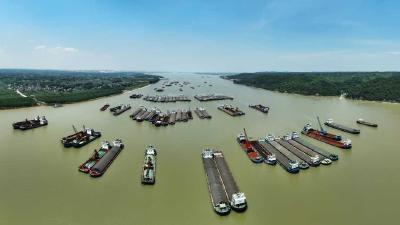 2025年10月31日湖北新闻