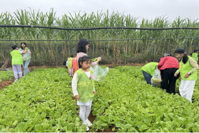 星光里社区：重阳“趣”农耕，亲子乐丰收