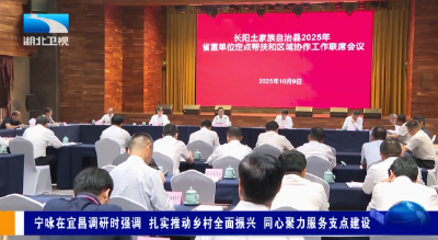 宁咏在宜昌调研时强调  扎实推动乡村全面振兴 同心聚力服务支点建设