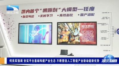 何良军强调 夯实平台基础构建产业生态 不断塑造人工智能产业新动能新优势