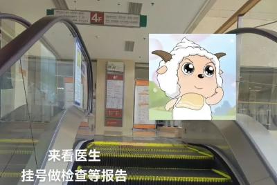 为什么最近网上这么多“勇敢的小羊”？这是什么梗？
