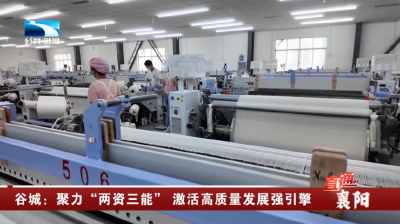 谷城：聚力“两资三能” 激活高质量发展强引擎