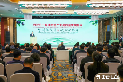 2025十堰油橄榄产业高质量发展会议在十堰郧阳召开
