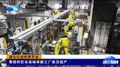 湖北打造世界车谷 | 零部件巨头采埃孚新工厂在汉投产