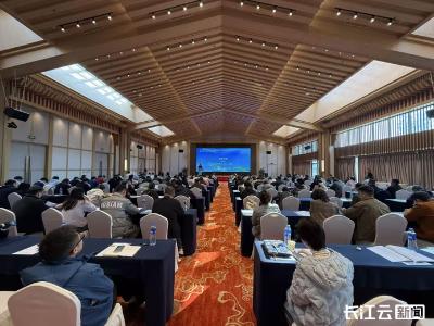 聚焦科技成果转化 湖北省技术市场工作现场会荆州启幕