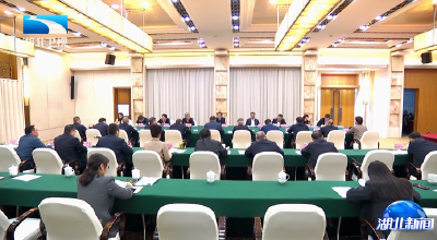 肖捷率全国人大常委会调研组到湖北调研