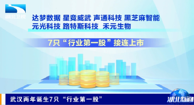 武汉两年诞生7只“行业第一股”