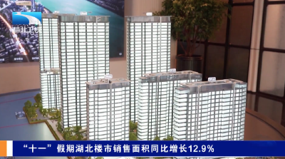 “十一”假期湖北楼市销售面积同比增长12.9%