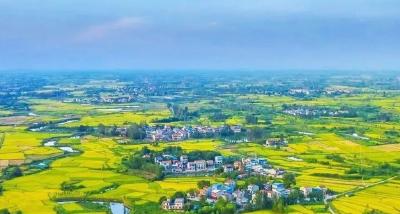 沃野织就丰收景 家园和美气象新