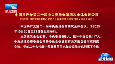 中国共产党第二十届中央委员会第四次全体会议公报