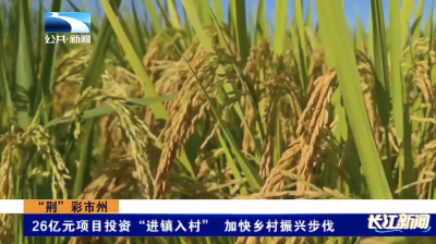 “荆”彩市州｜26亿元项目投资“进镇入村” 加快乡村振兴步伐