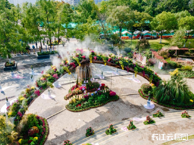 楚风菊韵漫沙湖！武汉市第四十二届金秋菊展明日启幕  一起解锁武昌秋日盛宴