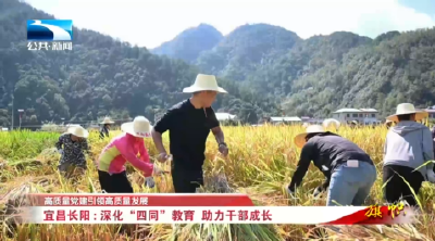高质量党建引领高质量发展丨宜昌长阳：深化“四同”教育 助力干部成长