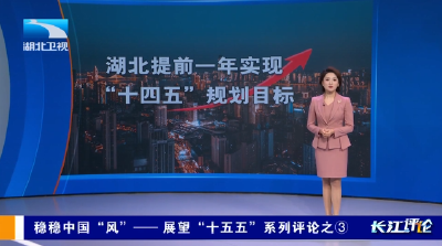 长江评论 | 稳稳中国“风” ——展望“十五五”系列评论之③
