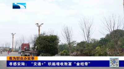 孝感安陆：“交通+”织起增收致富“金纽带”