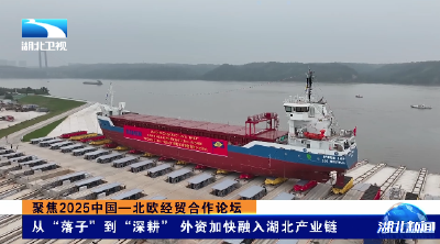 聚焦2025中国—北欧经贸合作论坛 | 从“落子”到“深耕” 外资加快融入湖北产业链