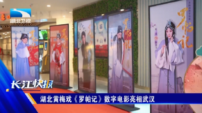 湖北黄梅戏《罗帕记》数字电影亮相武汉