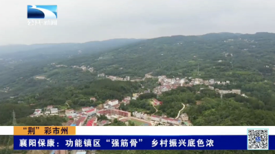 襄阳保康：功能镇区“强筋骨” 乡村振兴底色浓
