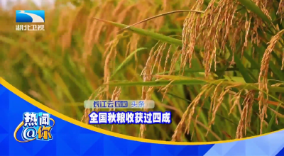 全国秋粮收获过四成