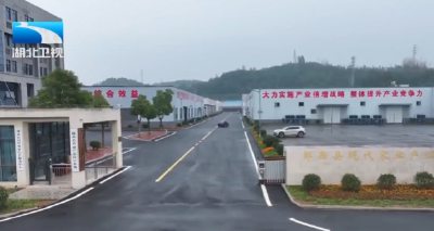 尔肯江·吐拉洪在郧西调研乡村振兴工作