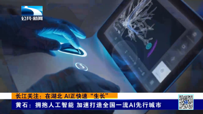 长江关注：在湖北 AI正快速“生长”